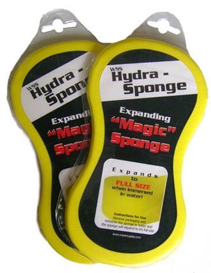 Hydra "Magic" Sponge